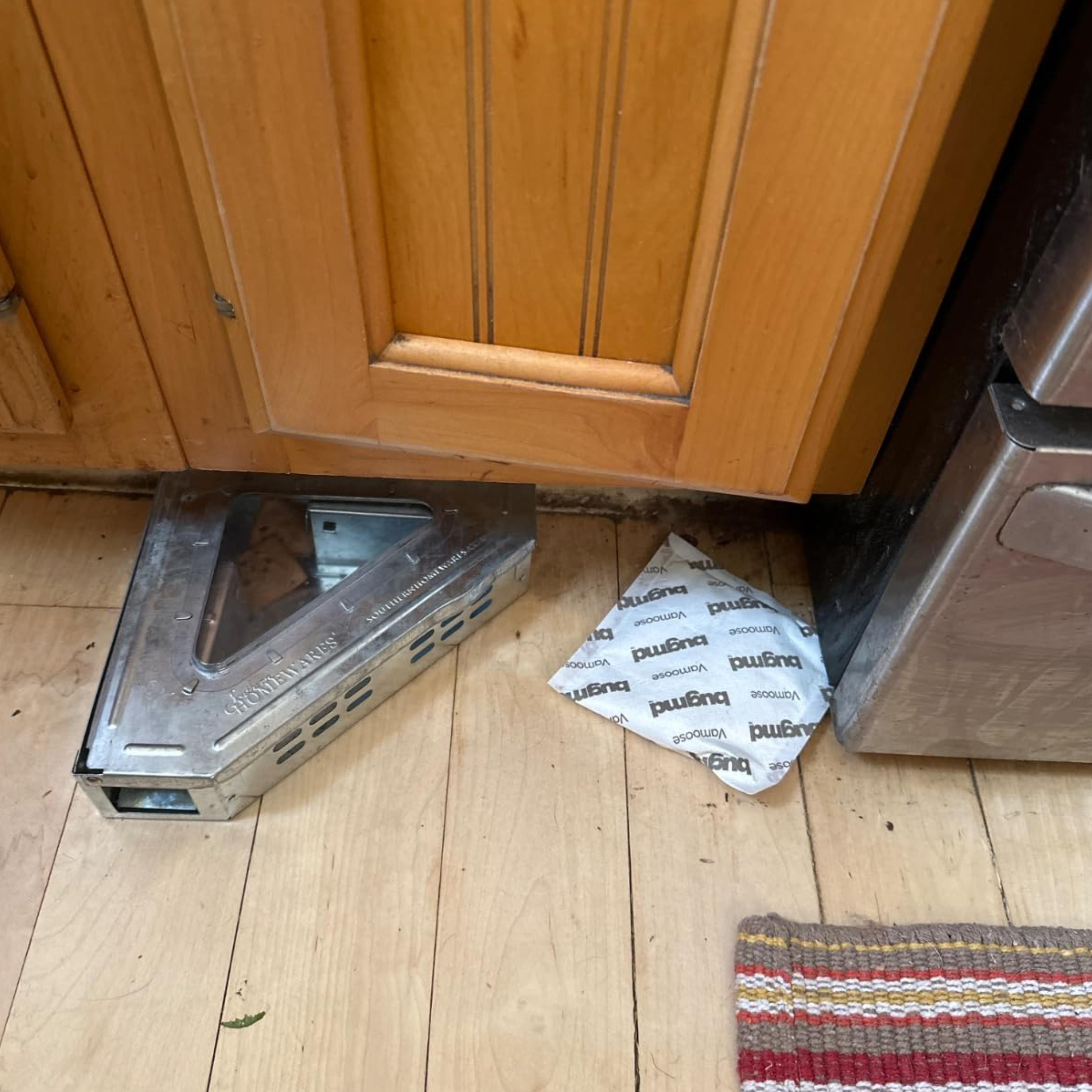 vamoose reviews Jennifer L.